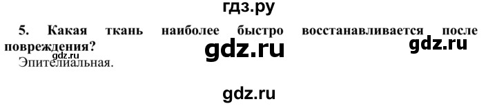 ГДЗ по биологии 9 класс Сапин Человек  Ткани и органы - 5, Решебник