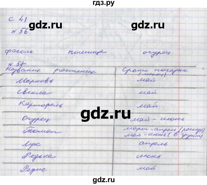 ГДЗ по окружающему миру 2 класс Федотова тетрадь для самостоятельной работы  часть 1 (страница) - 41, Решебник