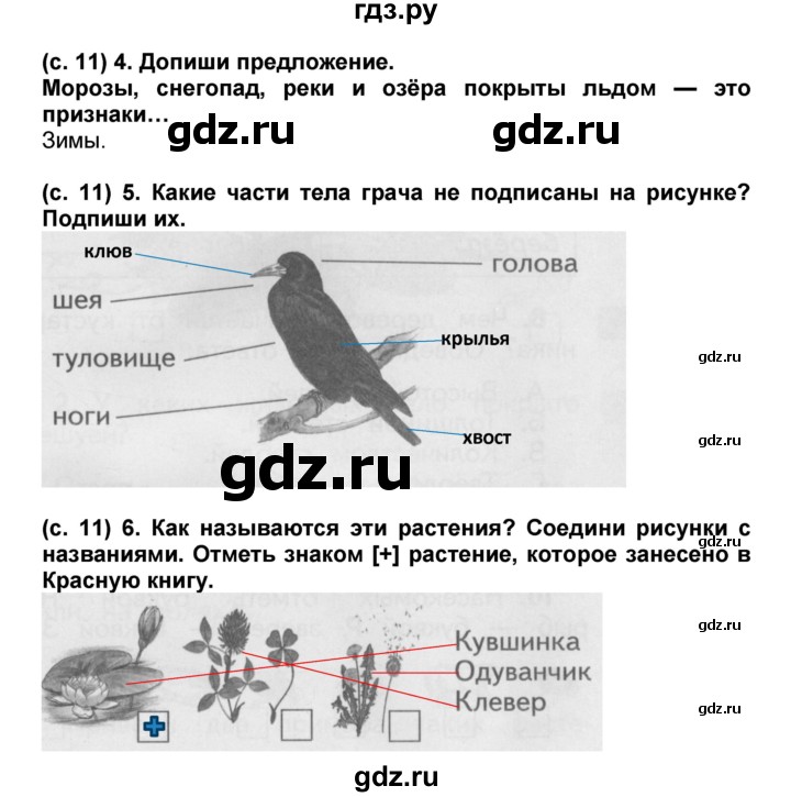 ГДЗ по окружающему миру 1 класс Ивченкова проверочные и диагностические работы  страница - 11, Решебник