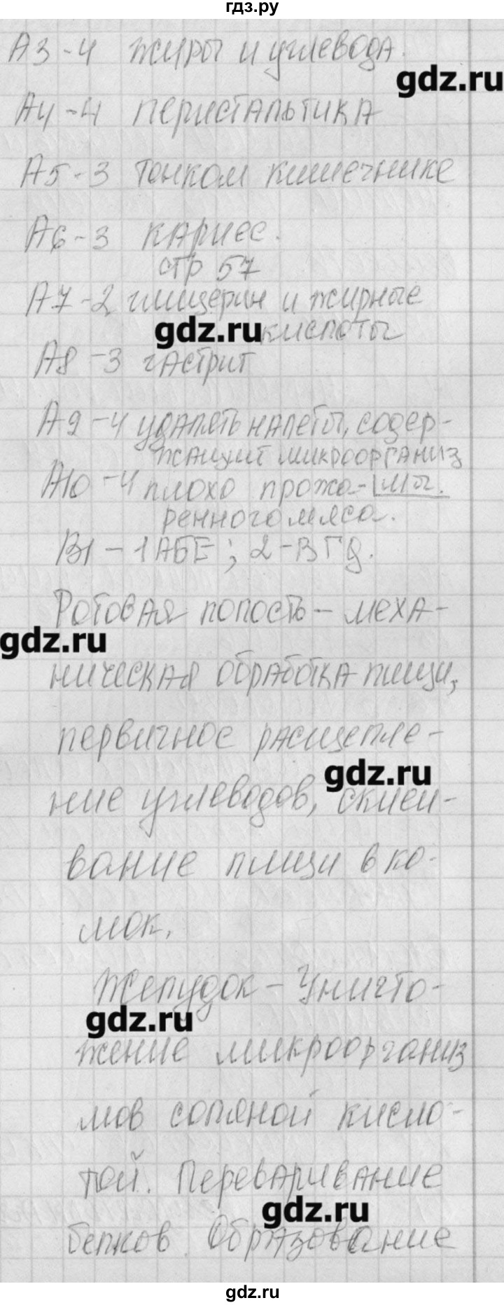 ГДЗ по биологии 8 класс Богданов контрольно-измерительные материалы  тест 17. вариант - 2, Решебник