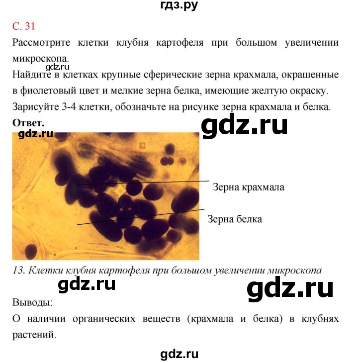 ГДЗ по биологии 10‐11 класс Сухорукова тетрадь-практикум  страница - 31, Решебник к тетради 2018