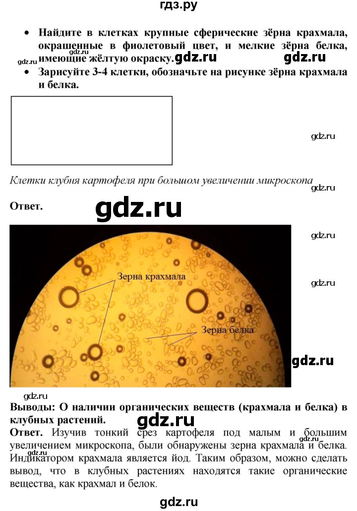 ГДЗ по биологии 10‐11 класс Сухорукова тетрадь-практикум  страница - 31, Решебник к тетради 2020