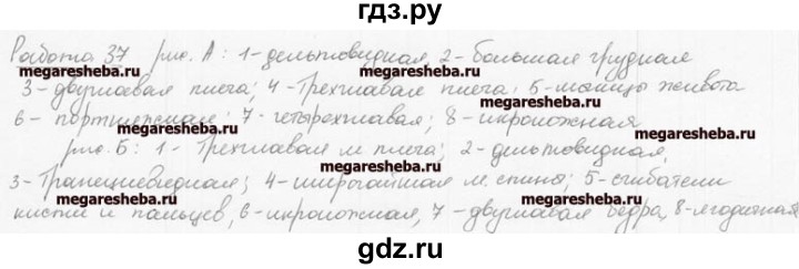 ГДЗ по биологии 8 класс Маш рабочая тетрадь (Драгомилов)  часть 1 (страница) - 25, Решебник к тетради 2016