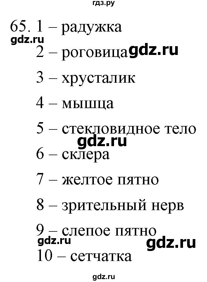 ГДЗ по биологии 9 класс  Сонин рабочая тетрадь Человек (Сапин)  упражнение - 65, Решебник